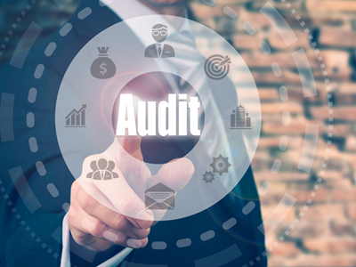 Audit İşçi Qrupu: sizin üçün nə edə bilər?